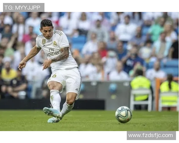 当今世界足球明星的数量与影响力分析